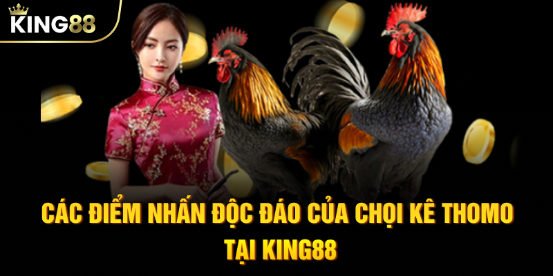 Các điểm nhấn độc đáo của chọi kê Thomo tại KING88