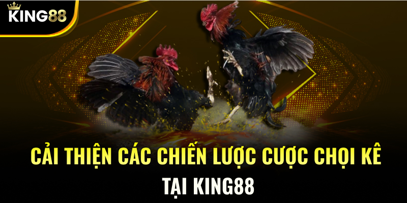 Cải thiện các chiến lược cược chọi kê tại KING88
