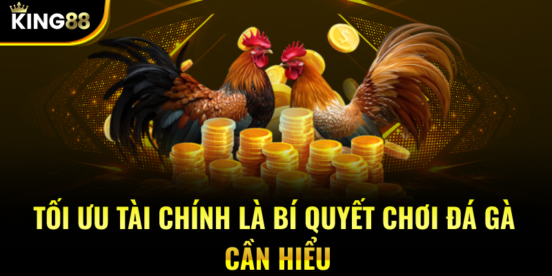 Tối ưu tài chính là bí quyết chơi đá gà cần hiểu
